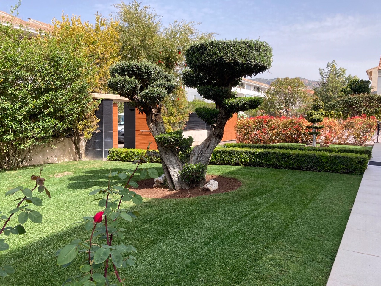 Precio de jardineros a domicilio en Valencia | Podavalti